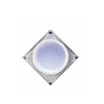 Perfect French Casusal White