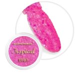 Tropical Effect Flamingo nail powder 1 g No. 10