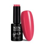 Ntn Premium Celebration Collection Hybrid Varnish 5g No. 165
