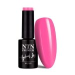 Hybrid Varnish Ntn Premium Birthday Party Collection 5g No. 52