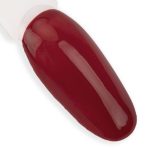 VipLac NTN Perfect Woman 5g Nr 06