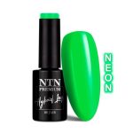 Ntn Premium Delight Sorbet Collection Neon 5 g Nr 146
