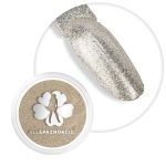 Silver magic Dust Allepaznokcie posuda za puder za nokte 1 g