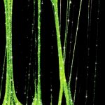 Disco Flashing Vision Spider Gel MollyLac 3 g - Image 2