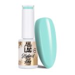 AlleLac Limited Edition HEMA/Di-HEMA Free 5g Nr 217