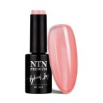 Ntn Premium Viral colors 5g Nr 291