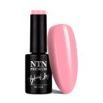 NTN Premium Birthday Party Collection 5g Nr 50