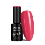 NTN Premium Celebration Collection 5g Nr 165