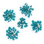 MollyLac tirkizno suho cvijeće za nokte, 5 komada