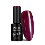 LED/UV Gel Polish NTN Premium Limited Edition Nr 400 5g