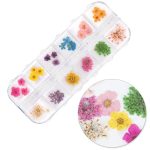 Suho cvijeće za dekoraciju noktiju u Molly Nails kaseti tip B 36 kom