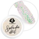 Splendor Allepanails teglica pudera za nokte 2 g br. 6
