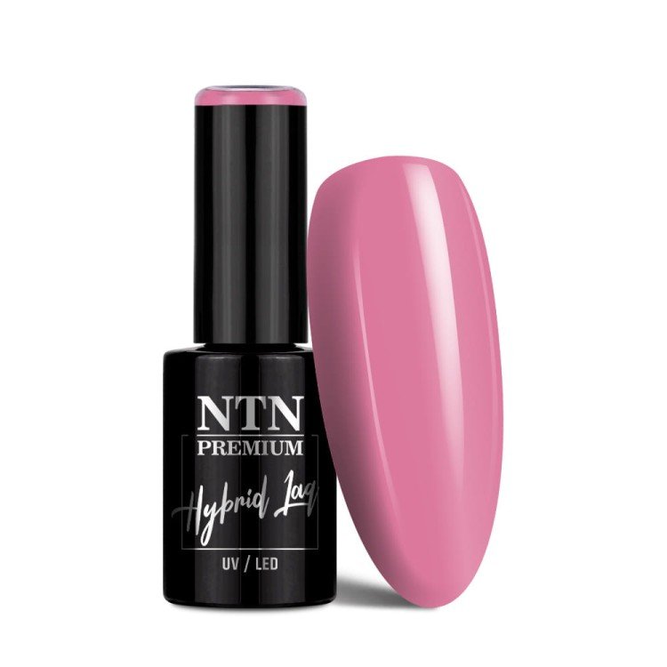 2026/08/1000210044.jpg Nr 445 Limited Edition NTN Premium 5g - Image 1